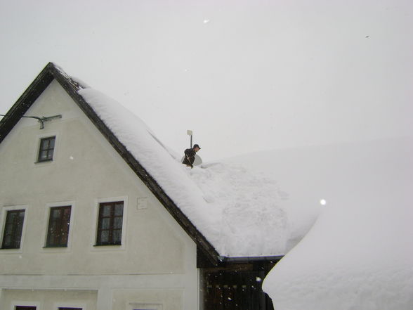 Schneeeeeeeeee - 