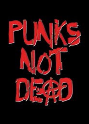 PUNK and ANARCHY!!*** - 