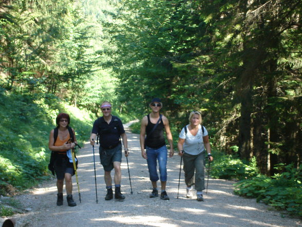 Wandern Gradnalm - 