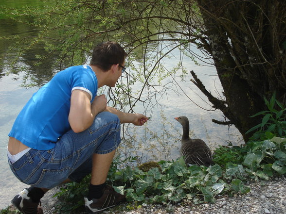 Wildpark Grünau - 