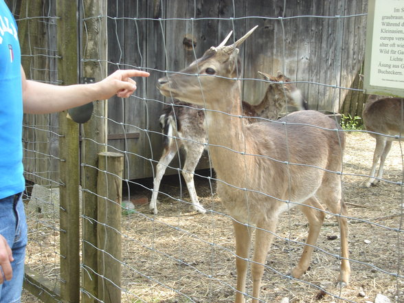 Wildpark Grünau - 