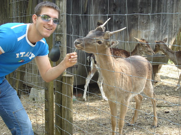 Wildpark Grünau - 