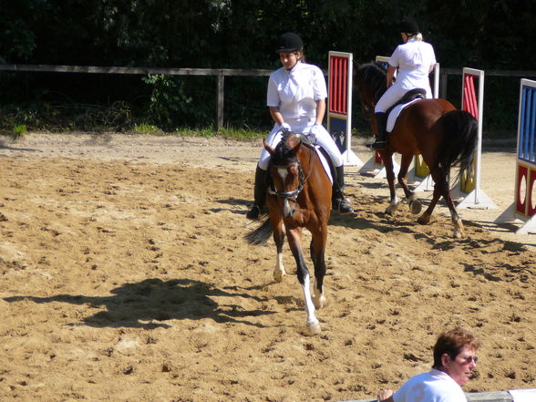 Bezirksmeisterschaft Clam - 