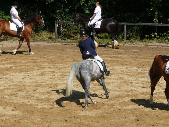 Bezirksmeisterschaft Clam - 