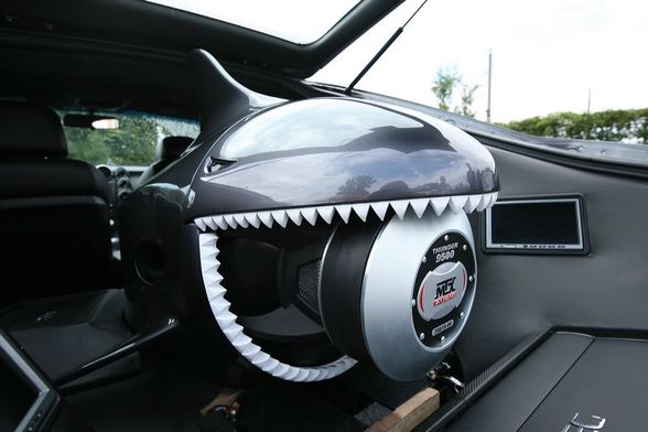 >> Shark Project  - 