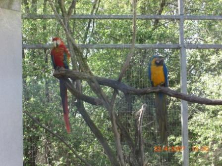 meine nichte und ich im Tierpark - 