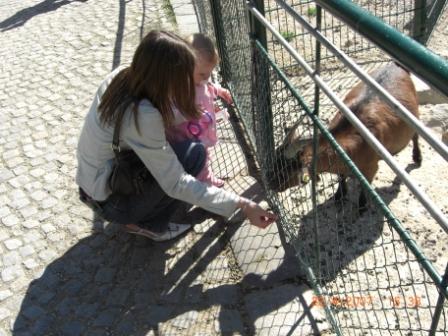 meine nichte und ich im Tierpark - 