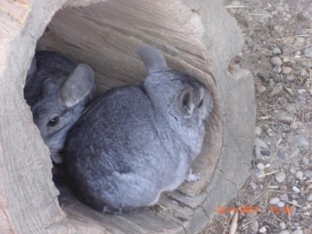 meine nichte und ich im Tierpark - 