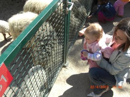 meine nichte und ich im Tierpark - 