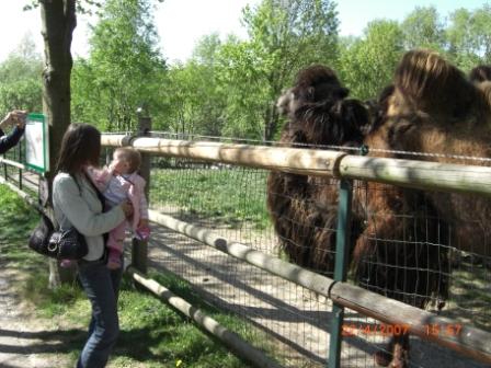 meine nichte und ich im Tierpark - 