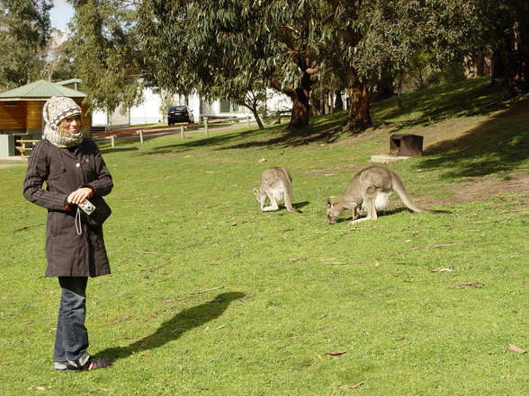 Australien Sommer 2007 :) - 