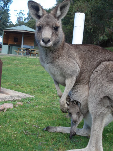 Australien Sommer 2007 :) - 