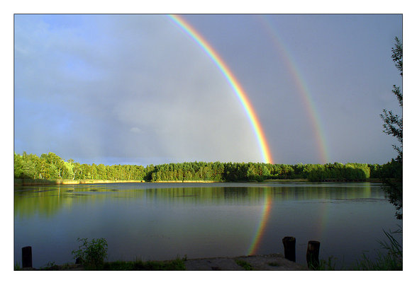 REGENBOGEN - 