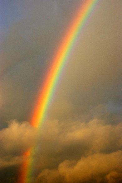 REGENBOGEN - 