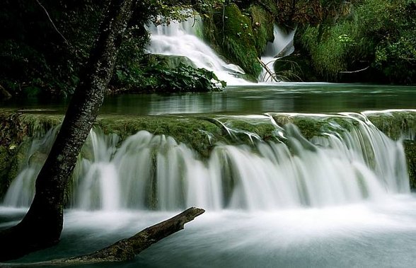 Schenes aus da Natur(sehenswert) - 