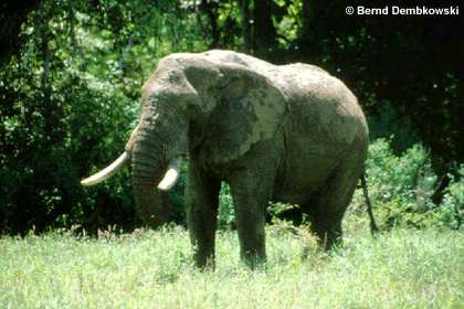 Schenes aus da Natur(sehenswert) - 