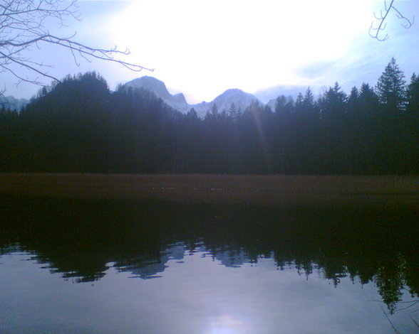 Natur-pur aus da Umgebung(Eigenbüda - 