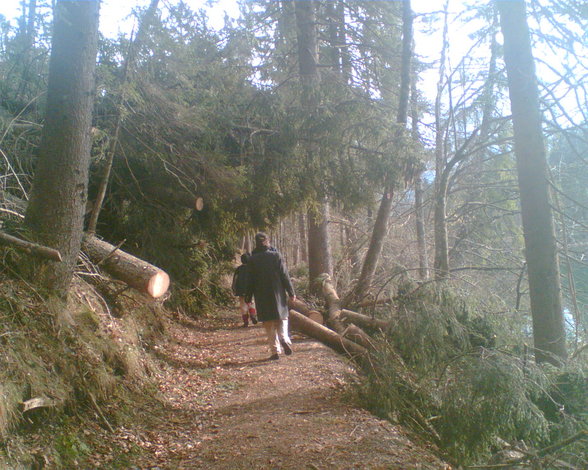 Natur-pur aus da Umgebung(Eigenbüda - 