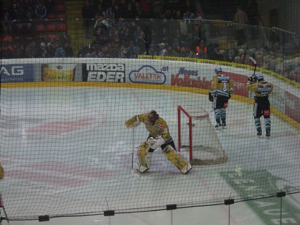 EHC Black Wings Linz - 