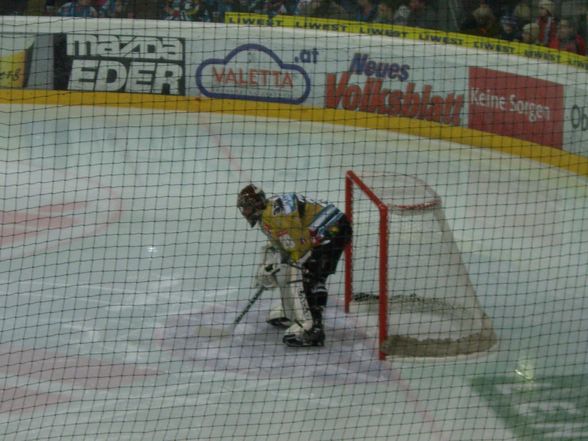 EHC Black Wings Linz - 