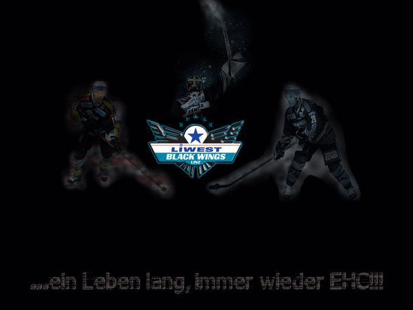 EHC Black Wings Linz - 