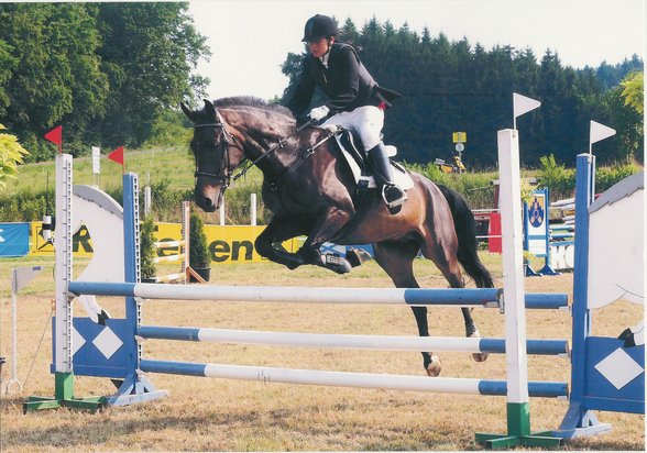 reiten - 