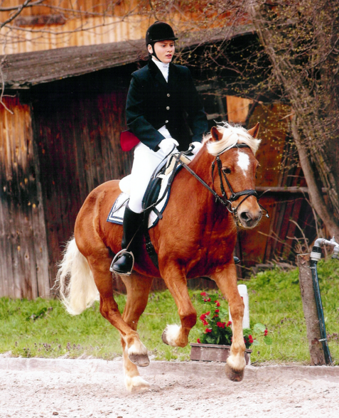 reiten - 