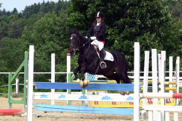 reiten - 