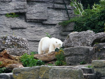 schönbrunn 2008 - 