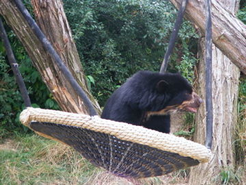 schönbrunn 2008 - 