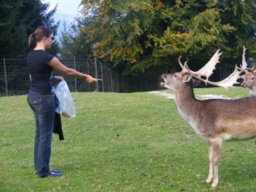 Tierpark Hochkräut - 