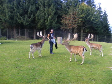 Tierpark Hochkräut - 