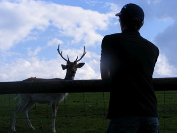 Tierpark Hochkräut - 