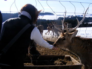 Tierpark Altenfelden 2010 - 