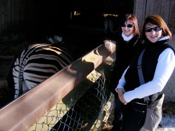 Tierpark Altenfelden 2010 - 