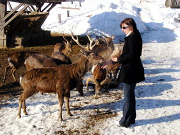 Tierpark Altenfelden 2010 - 