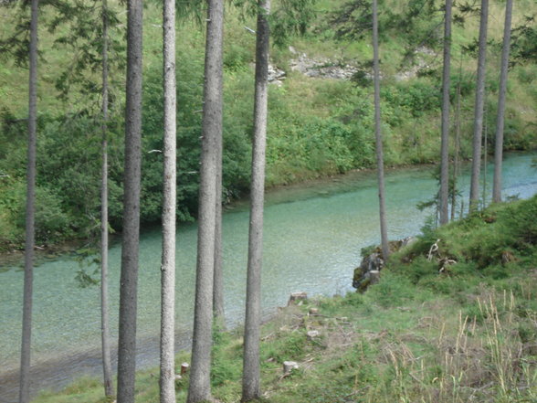 das geilste in österreich - 