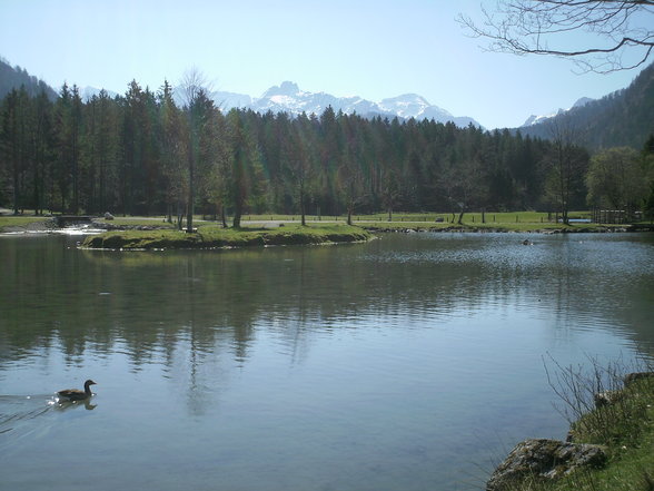 Wildpark + Almsee - 