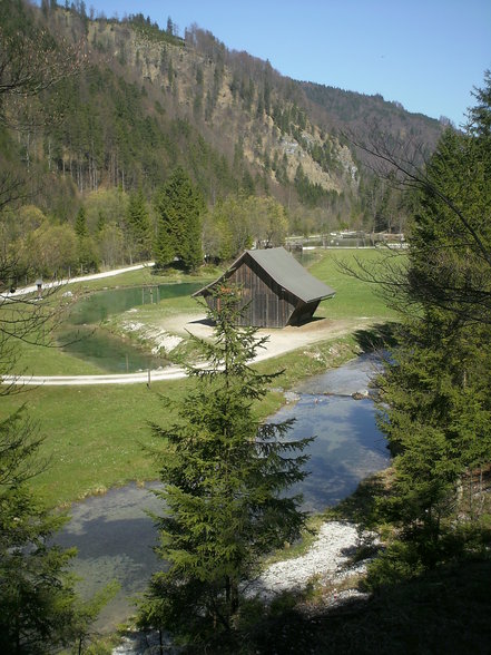 Wildpark + Almsee - 