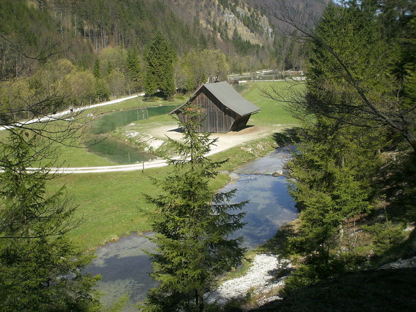 Wildpark + Almsee - 