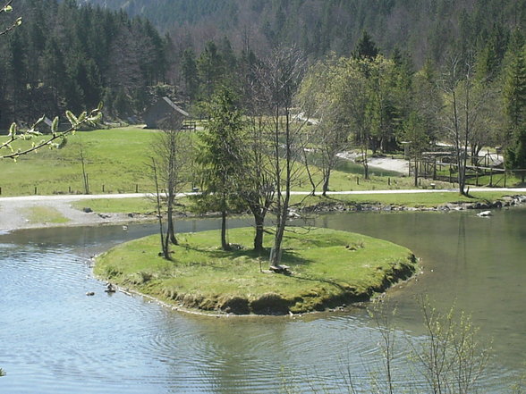 Wildpark + Almsee - 