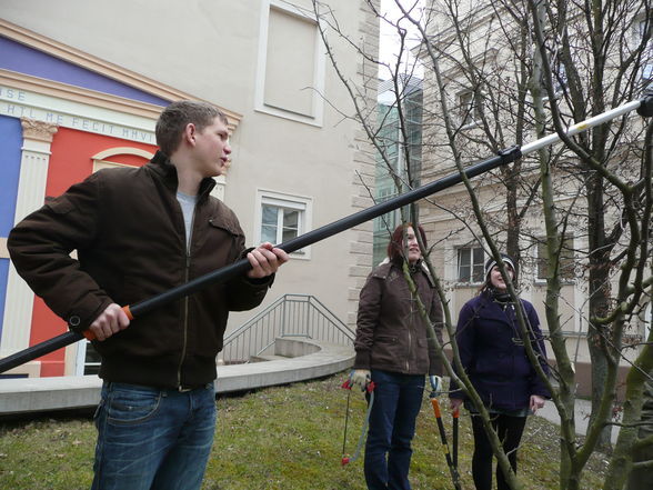 Naturwissenschaften im Borg - 