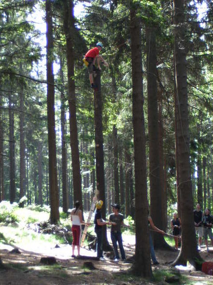 .°.Hochseilklettergarten Kirchschlag.°. - 