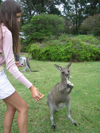 Jervis Bay - 