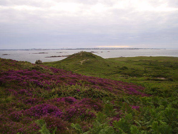 HERM ISLAND - Praktikum 2007 - 