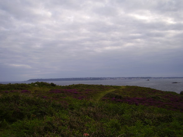 HERM ISLAND - Praktikum 2007 - 