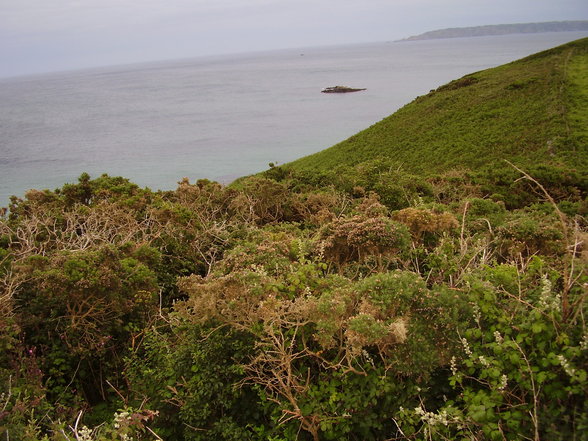 HERM ISLAND - Praktikum 2007 - 