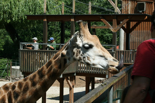 Tierpark Schmieding - 