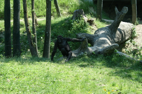 Tierpark Schmieding - 