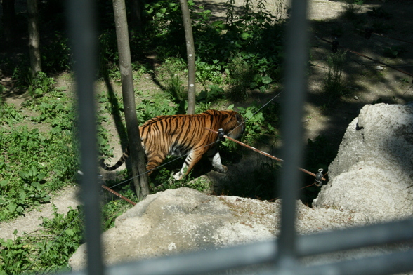 Tierpark Schmieding - 